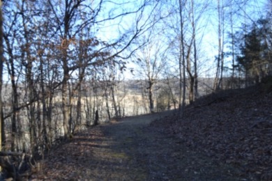 5.52 AC W/ RIVER- MTN- VALLEY VIEWS FOR MILES & MILES - photo 6