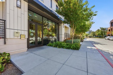 Welcome to 2339 Kinetic Common Unit 312 - a generously appointed - photo 4
