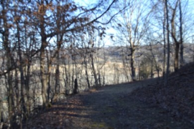5.52 AC W/ RIVER- MTN- VALLEY VIEWS FOR MILES & MILES - photo 5