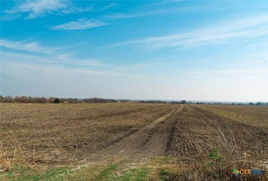 Set on 116 plus or minus acres with direct access off FM 973 via - photo 11