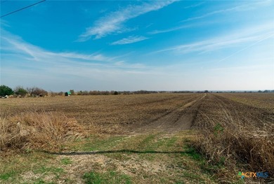 Set on 116 plus or minus acres with direct access off FM 973 via - photo 12