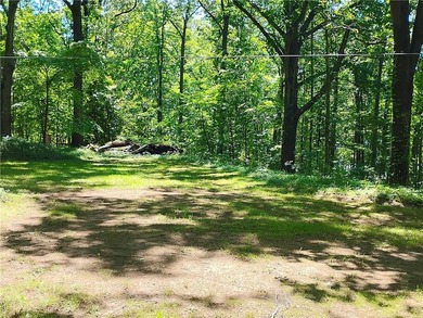 Rare opportunity for a premiere lake lot near Clemson! - photo 19