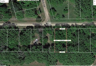 Lake Lot For Sale in Trinidad, Texas