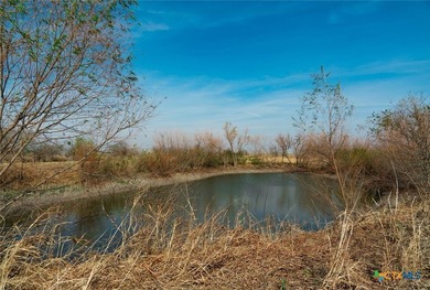 Set on 116 plus or minus acres with direct access off FM 973 via - photo 25