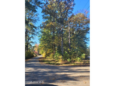 You must see this beautiful 0.92 acre wooded, triangular corner - photo 4
