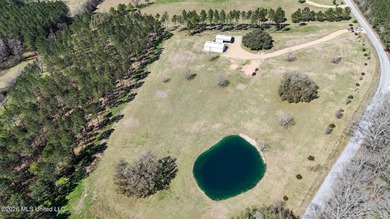 Lake Acreage For Sale in Osyka, Mississippi