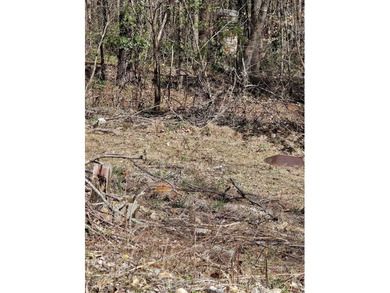 Lake Lot For Sale in Smithville, Tennessee