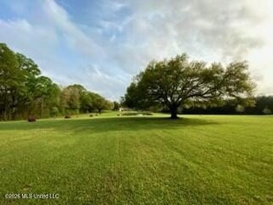 Welcome to 1021 Elarton Rd in Osyka, MS! This property offers - photo 2