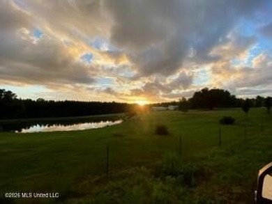 Welcome to 1021 Elarton Rd in Osyka, MS! This property offers - photo 3