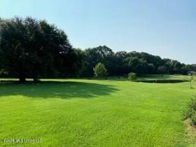 Welcome to 1021 Elarton Rd in Osyka, MS! This property offers - photo 4