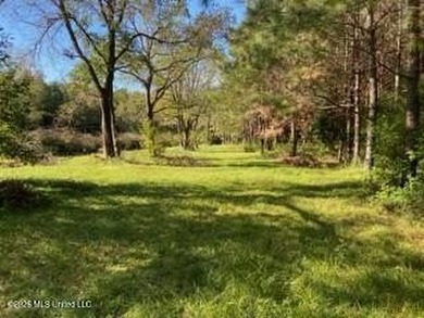 Welcome to 1021 Elarton Rd in Osyka, MS! This property offers - photo 5