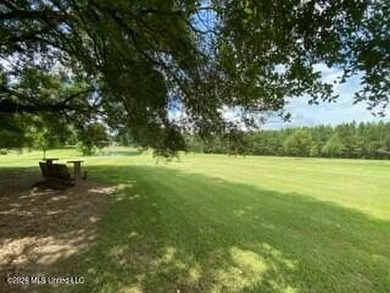 Welcome to 1021 Elarton Rd in Osyka, MS! This property offers - photo 6