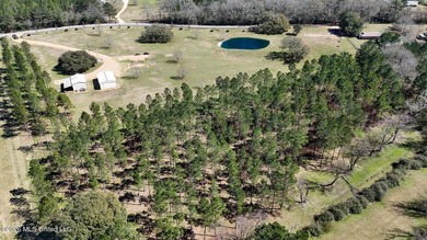 Welcome to 1021 Elarton Rd in Osyka, MS! This property offers - photo 7