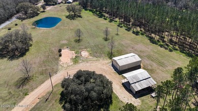 Welcome to 1021 Elarton Rd in Osyka, MS! This property offers - photo 8