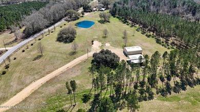 Welcome to 1021 Elarton Rd in Osyka, MS! This property offers - photo 9