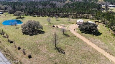 Welcome to 1021 Elarton Rd in Osyka, MS! This property offers - photo 10