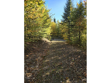 2 acres with driveway and clear gravel pad area in a great - photo 3