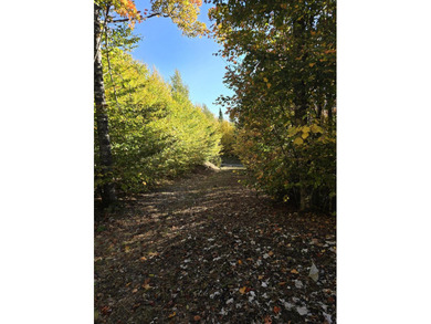 2 acres with driveway and clear gravel pad area in a great - photo 4
