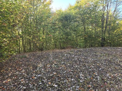 2 acres with driveway and clear gravel pad area in a great - photo 5