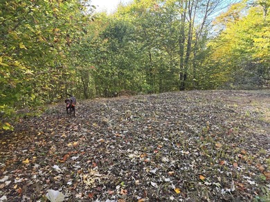 2 acres with driveway and clear gravel pad area in a great - photo 6