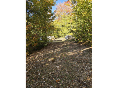2 acres with driveway and clear gravel pad area in a great - photo 7