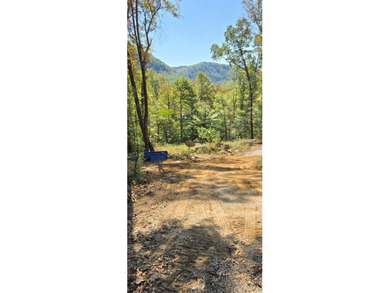 (private lake, pond, creek) Acreage For Sale in Wilder Tennessee