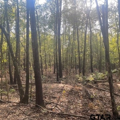 Absolutely Breathtaking Property! If you are looking for a large - photo 19