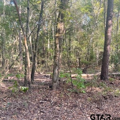 Absolutely Breathtaking Property! If you are looking for a large - photo 20