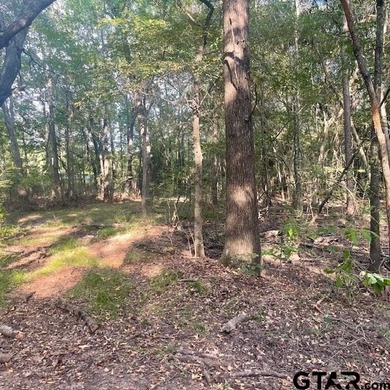Absolutely Breathtaking Property! If you are looking for a large - photo 21