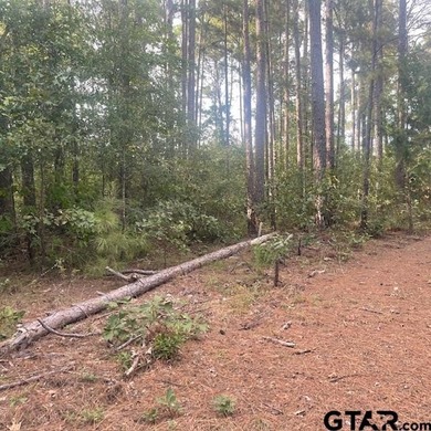 Absolutely Breathtaking Property! If you are looking for a large - photo 24