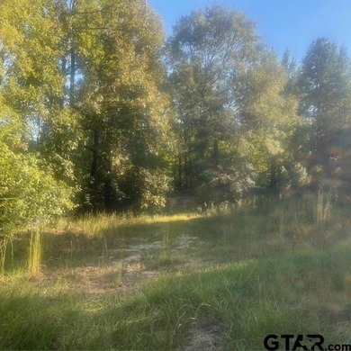 Absolutely Breathtaking Property! If you are looking for a large - photo 44