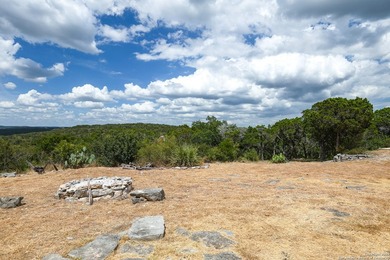 *GREAT NEW PRICE*Remarkable property on 2 parcels totaling 24.69 - photo 44