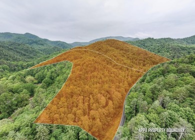 Fontana Lake Lot For Sale in Almond North Carolina