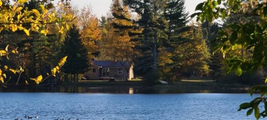 (private lake, pond, creek) Home For Sale in Kinross Michigan