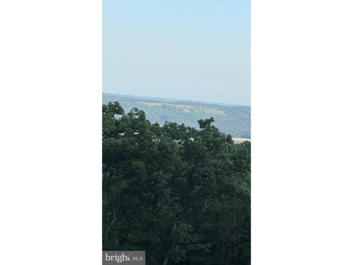 Welcome to Shawneeland. Large .62 acre Lot. Want More? Also For - photo 7