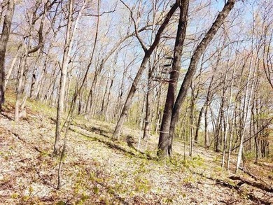 6.88-acre recreational property featuring a private pond, sand - photo 16
