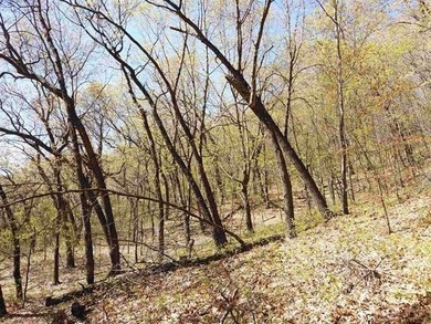 6.88-acre recreational property featuring a private pond, sand - photo 17