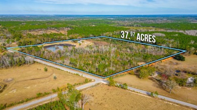 Lake Acreage For Sale in Westville, Florida