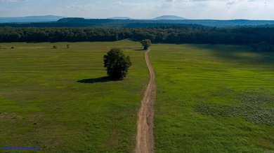 This is more than land-it's a lifestyle. Spanning 1,287 acres of - photo 3