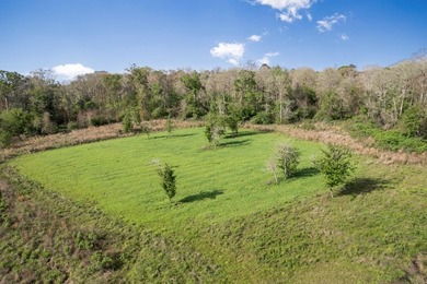463 acres in North St. Helena Parish, LA just south of the MS - photo 3