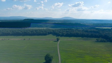 This is more than land-it's a lifestyle. Spanning 1,287 acres of - photo 4