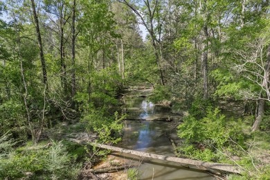 463 acres in North St. Helena Parish, LA just south of the MS - photo 4