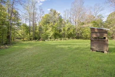 463 acres in North St. Helena Parish, LA just south of the MS - photo 6
