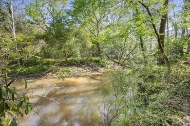463 acres in North St. Helena Parish, LA just south of the MS - photo 7