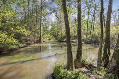463 acres in North St. Helena Parish, LA just south of the MS - photo 8