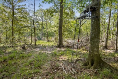 463 acres in North St. Helena Parish, LA just south of the MS - photo 9