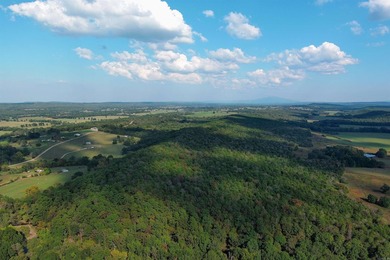 This is more than land-it's a lifestyle. Spanning 1,287 acres of - photo 10