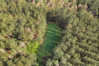 463 acres in North St. Helena Parish, LA just south of the MS - photo 10