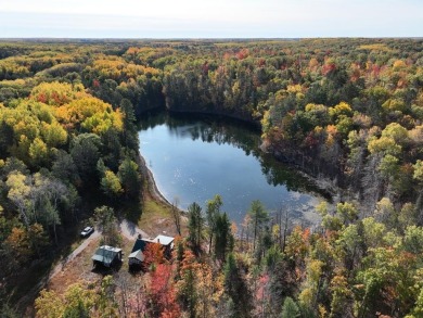 (private lake, pond, creek) Home For Sale in Millersburg Michigan