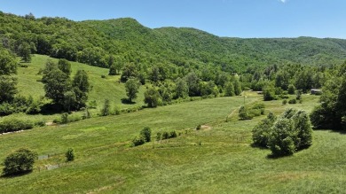 Lake Acreage For Sale in Cullowhee, North Carolina